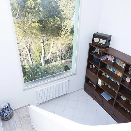 Orizzonte فيلة *